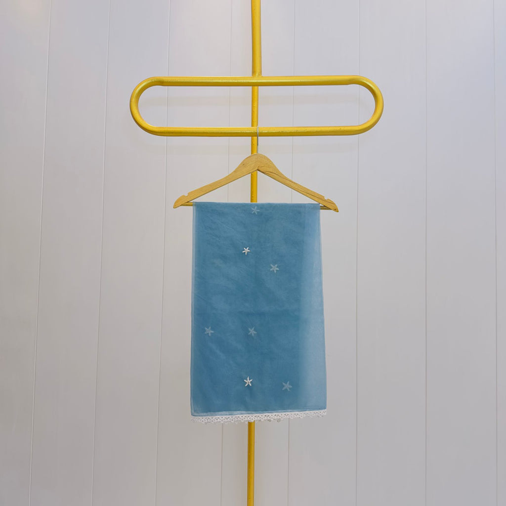 Elegant Sky Blue Embroidered Relaxed fit