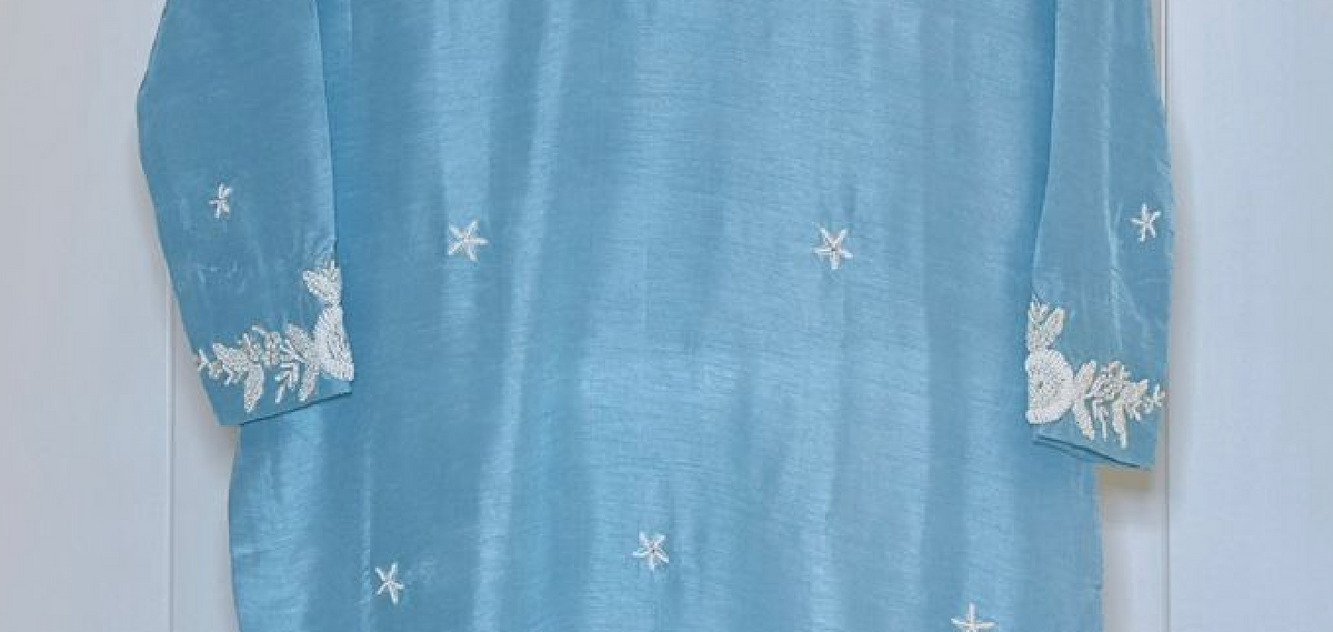 Elegant Sky Blue Embroidered Relaxed fit